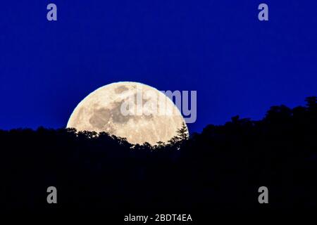 Der satt rosafarbene Supermond steigt über die Rocky Mountains, Salida, Colorado, USA Stockfoto