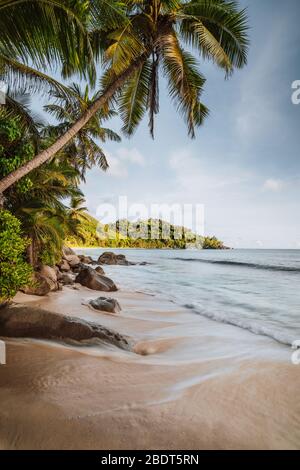 Mahe Island, Seychellen. Urlaub Berufung auf dem schönen Anse intendance tropischen Strand. Kokosnusspalmen und Meereswellen Rollen in Richtung der Shor Stockfoto