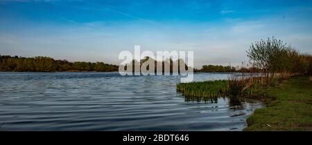 Ein schöner sonniger Tag in Whitlingham Broad, Norwich, Norfolk, Großbritannien Stockfoto