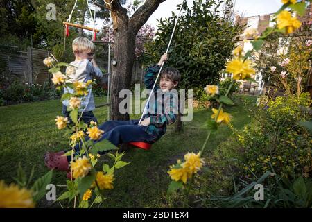 Zwei junge Brüder im Alter von 6 und 9 Jahren spielen auf einer Seilleiter und Seilschaukel in ihrem Garten, London, England, Großbritannien Stockfoto