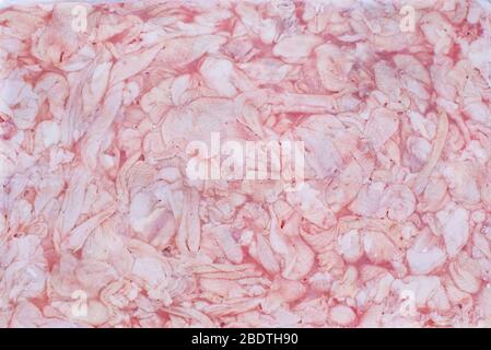 Rohes gefrorenes Hähnchenfell Polyblock.Rohes Hähnchenfleisch gefrorenen Polyblock. Rohes gefrorenes Hühnchen Brikett. Nahaufnahme der Hühnerhaut. Stockfoto