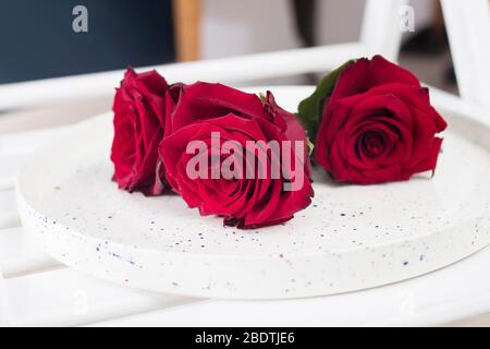 Drei rote Burgunder Rosen auf einem Tablett auf dem Stuhl. Kopierbereich Stockfoto