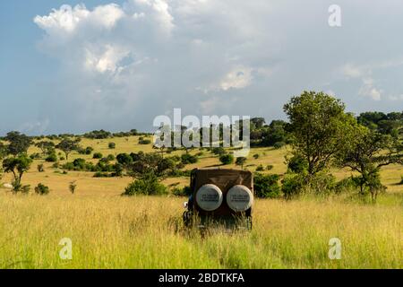 Ein Safari-Auto fährt durch die Ebenen Afrikas Stockfoto