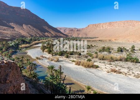 Ziz-Tal in Marokko Stockfoto