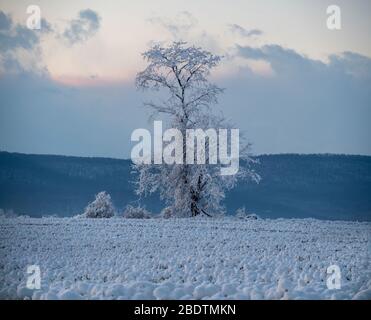 Gefrorene Bäume und verschneite Winterszene im ländlichen Pennsylvania Stockfoto