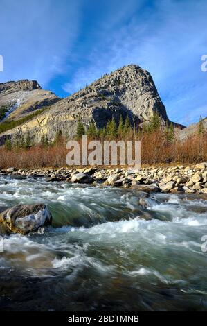 Ein vertikales Landschaftsbild eines schnell fließenden Gebirgsbaches, der durch die felsigen Berge von Alberta Canada rast Stockfoto