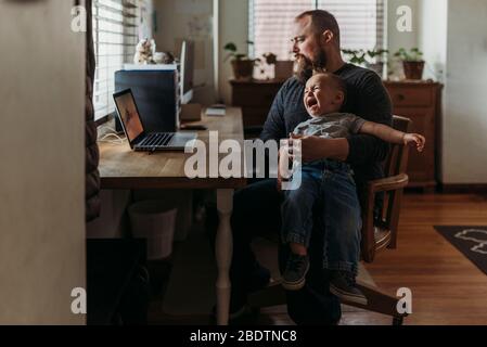 Vater versucht, von zu Hause aus mit Kleinkind-Tantrum in seinem Schoß zu arbeiten Stockfoto