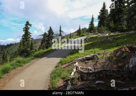 Landschaftlich schöne Aussicht vom Wanderweg auf Hurricane Ridge Stockfoto