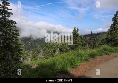 Landschaftlich schöne Aussicht vom Wanderweg auf Hurricane Ridge Stockfoto