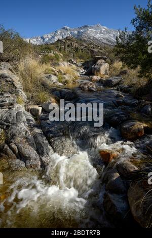 Wasser aus schmelzendem Schnee fließt von den Santa Catalina Mountains zum Wüstenboden, zur Sonoran-Wüste, zum Coronado National Forest, Catalina, Arizona, USA. Stockfoto