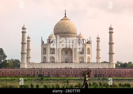 Taj Mahal bei Sonnenuntergang mit einer lokalen Frau, die Holz im Vordergrund trägt. Stockfoto