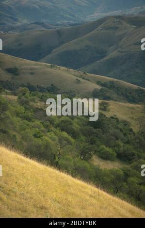 Landschaftlich schöner Blick über Gräser, Pondoland, Eastern Cape, Transkei, Südafrika Stockfoto