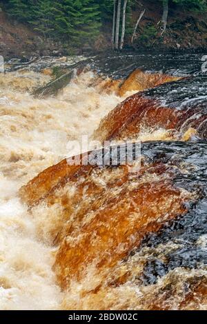 Durcheinander geratene Gewässer auf einem überfluteten Lower Tahquamenon Falls im Tahquamenon Falls State Park in Michigan Stockfoto