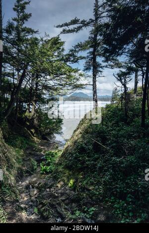 Eine außergewöhnliche Lage in einem magischen Teil der Welt! Wunderschöner Strand auf Vancouver Island in Kanada Stockfoto