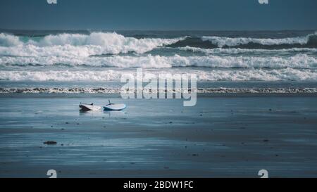 Eine außergewöhnliche Lage in einem magischen Teil der Welt! Wunderschöner Strand auf Vancouver Island in Kanada Stockfoto