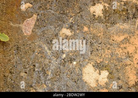 Rough Grunge Vintage hellgrau geschält Zementwand Hintergrund verwittert, schmutzig Alte Textur Stockfoto