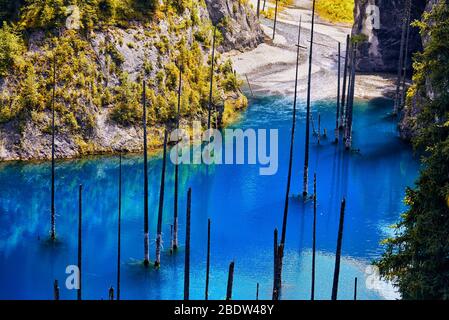 Wunderschöne Aussicht auf hoher See Kaindi mit schwebte trockene Bäume in Kasachstan und Zentralasien Stockfoto