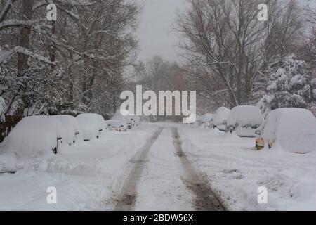 Schneebedeckte Autos auf einer Straße während eines Blizzards Stockfoto