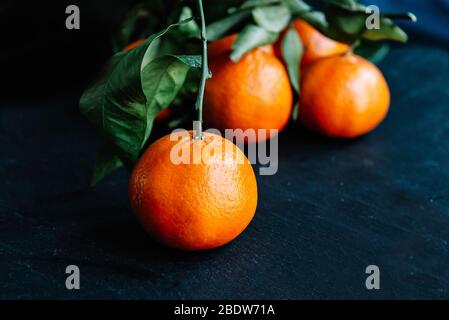 Mandarinen und Apfelsinen, Mandarinen, Clementinen, Zitrusfrüchte mit grünen Blättern auf dunklem Hintergrund Stockfoto