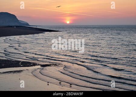 Hastings, East Sussex, Großbritannien. April 2020. Da an diesem Karfreitag ein weiterer heißer, sonniger Tag in Aussicht steht und die Temperaturen im Südosten auf 25 °C ansteigen, werden die Menschen angewiesen, zu Hause zu bleiben, nicht Strände und Schönheitsgebiete zu besuchen und nur ihre erlaubte tägliche Bewegung vor Ort zu nehmen. um die Ausbreitung des Coronavirus COVID-19-Virus zu stoppen. C.Clarke/Alamy Live News Stockfoto