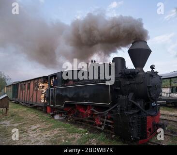 Laufende Holzbrennlokomotive von Mocanita (Maramures, Rumänien). Nahaufnahme. Stockfoto