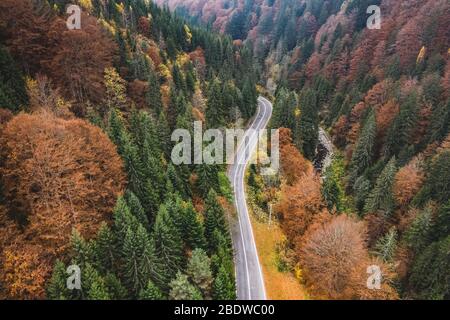 Bergstraße durch Herbstwald Stockfoto