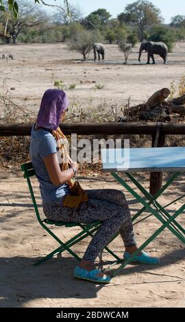 Elefanten, Loxodonta africana, am Wasserloch mit Frau, die am Picknicktisch zuschaut, Nhlanguleni Picknickplatz, Kruger-Nationalpark Stockfoto