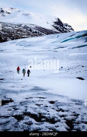 Touristen wandern auf einer Gletscherwanderung auf dem Svinafellsjokull Gletscher ein Auslassgletscher des Vatnajokull, Südisland Stockfoto
