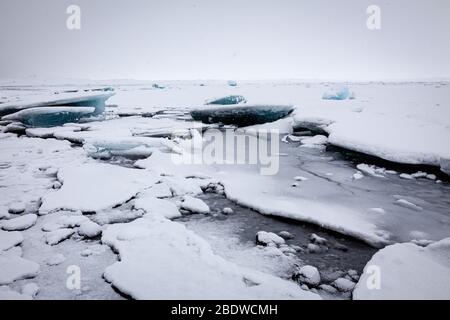 Schwimmendes Eis in der Jokulsarlon Glacier Lagoon, Island Stockfoto