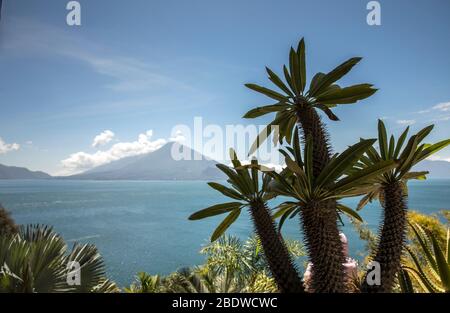 Blick über den Atitlan See in Guatemala Stockfoto