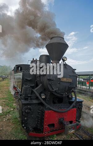 Laufende Holzbrennlokomotive von Mocanita (Maramures, Rumänien). Nahaufnahme. Lokomotivrauch geht zum blauen Himmel. Stockfoto