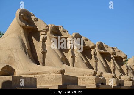 Avenue of Sphinxes (Luxor, Karnak Temple Complex) vor blauem Himmel Hintergrund. Ägypten. Stockfoto