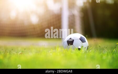 Schwarz und weiß-Ball liegend auf dem grünen Rasen Stockfoto
