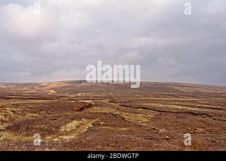 Wicklow Berge mit grünen und braunen Torfland und trockenem Gras an einem bewölkten Tag. Dublin, Stockfoto