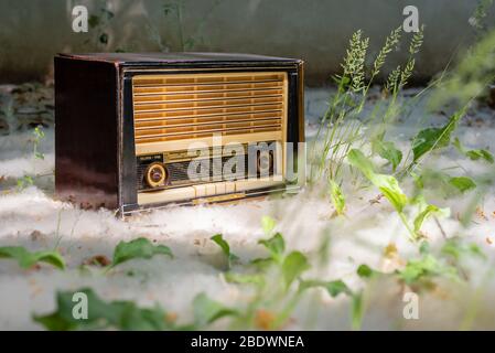 Ein Bild des Bodens niedrigen Winkel Ansicht eines Vintage-Radio umgeben von Pollen und grünen Blättern in der Landschaft Stockfoto