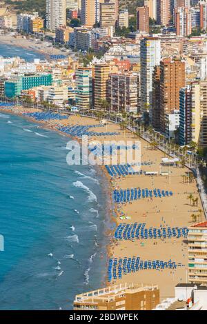 Benidorm, Costa Blanca, Provinz Alicante, Spanien. Gesamtansicht von Levante Strand. Stockfoto