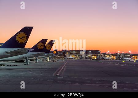 Frankfurt, Deutschland - 7. April 2020: Lufthansa-Flugzeuge werden am Frankfurter Flughafen (FRA) in Deutschland geerdet und gelagert. Airbus ist eine Flugzeugmanufaktur Stockfoto