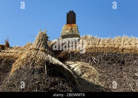 Reetdach, Dach, Reparatur, Bauernhof, Bauindustrie, Arbeiten, Niederlande, Reed - Grass Familie, Dachdecker, Dachdecker, Bau - Aktivität, Stockfoto