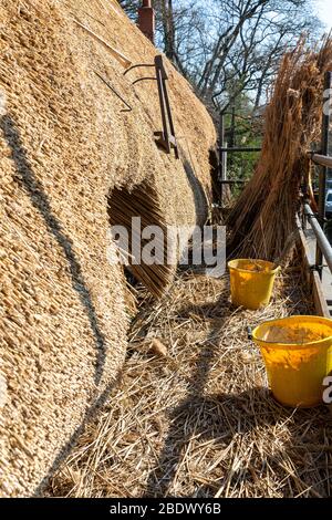 Reetdach, Dach, Reparatur, Bauernhof, Bauindustrie, Arbeiten, Niederlande, Reed - Grass Familie, Dachdecker, Dachdecker, Bau - Aktivität, Stockfoto