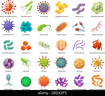 Bakterien- und Virensymbole. Krankheitserregende Bakterien, Viren und Mikroben. Farbkeime, Baktertypen Vektor-Illustration Set Stock Vektor