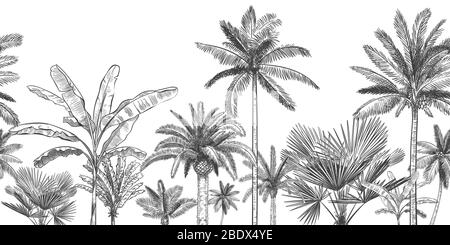 Nahtlose horizontale tropischen Hintergrund. Handgezeichnete Palmen, Skizze exotischen tropischen Dschungel Blätter und Paradies Palmen Vektor-Tapete Stock Vektor