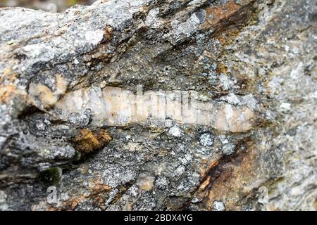 Gesteinsstruktur mit Mineralien im Inneren. Stockfoto