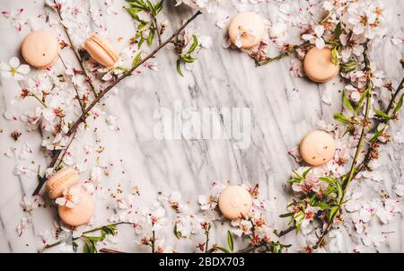 Süße Makaronkeks und weiße Frühlingsblüten, horizontale Zusammensetzung Stockfoto