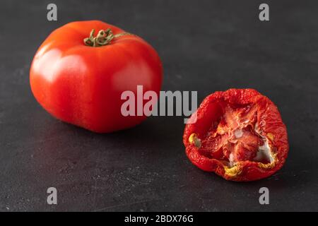 Verdorbene und frische Tomaten auf schwarzem Hintergrund. Tomate mit Schimmel. Unsachgemäße Lagerung von Gemüse. Verschwenden Sie Lebensmittel. Nahaufnahme Stockfoto