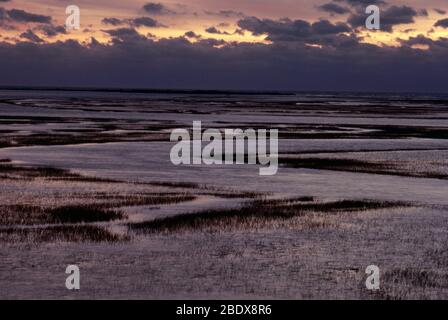 South Carolina Marsh bei Sunrise Stockfoto