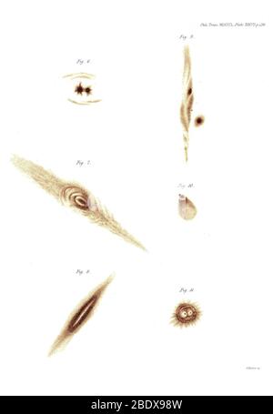 Spiral Galaxies, William Parsons, 1850 Stockfoto
