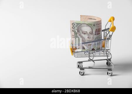 Banknote ukrainischen Griwna in den Warenkorb auf Shopping isoliert auf weißem Hintergrund. Nahaufnahme von Shopping-Trolley. Business-Konzept mit Kopie Stockfoto