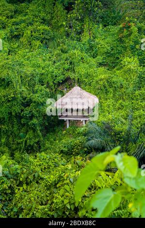Campuhan Ridge, Ubud, Bali, Indonesien. Scenic Nature Trail, grünen Wald und treetop Villa Refugium. Stockfoto