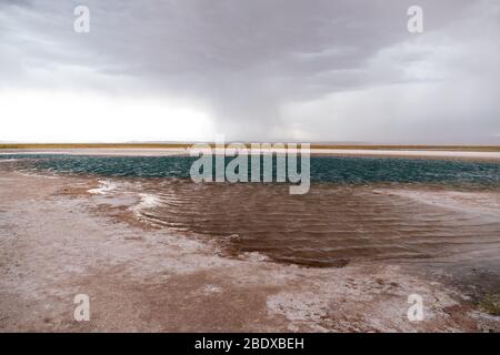 Stürmische Wolken über der Lagune von Cejar, San Pedro de Atacama, Atacama Wüste, Chile Stockfoto