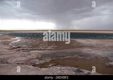 Stürmische Wolken über der Lagune von Cejar, San Pedro de Atacama, Atacama Wüste, Chile Stockfoto